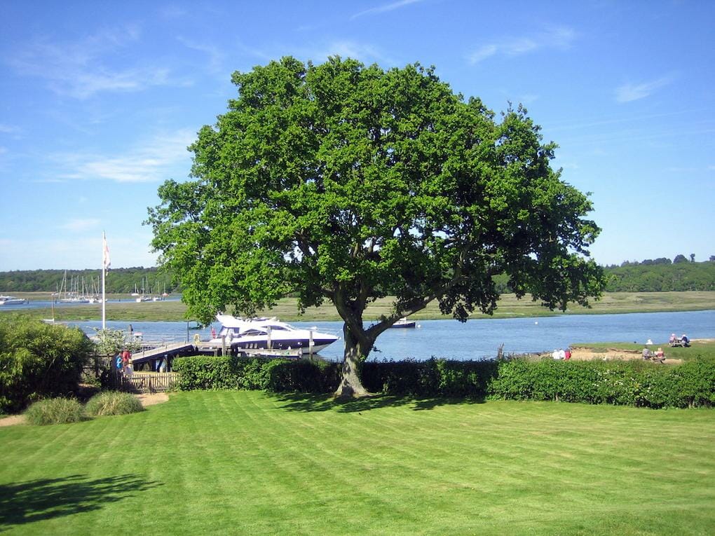 10-great-things-in-new-forest-bucklers-hard