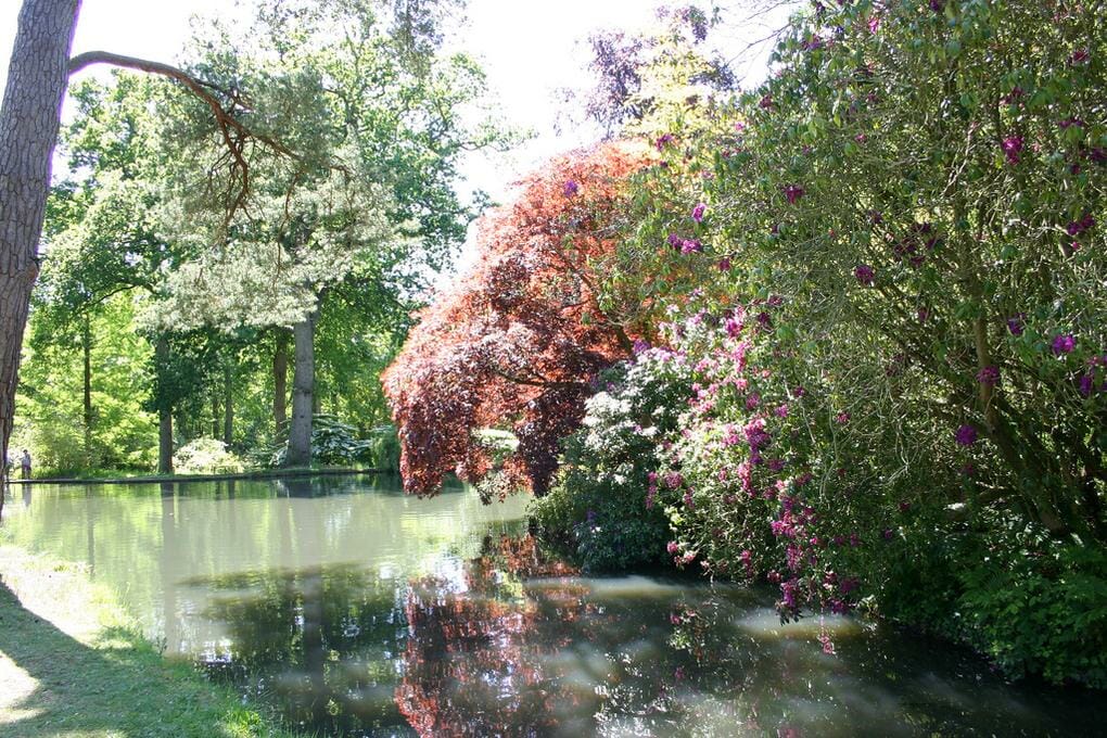 10-great-things-in-new-forest-exbury-gardens