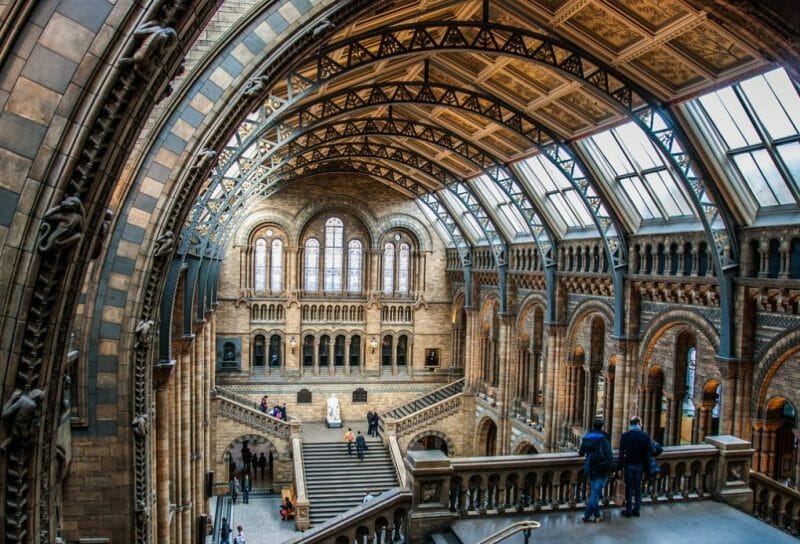 Natural History Museum, London by garyullah natural history museum london photo
