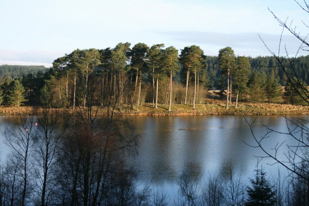 Kielder photo