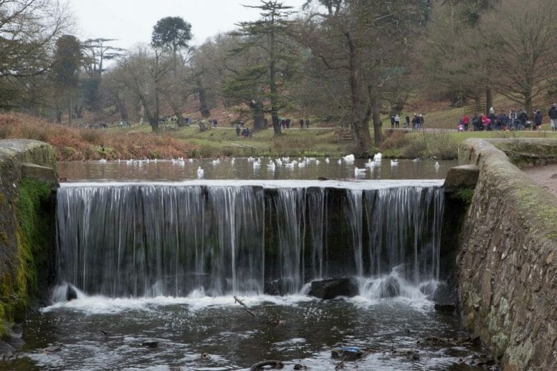 10 Best Places to Visit in Leicestershire England 3 Bradgate Park photo