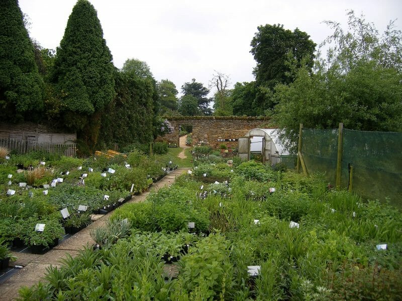 Visit Northamptonshire, England 5 Visit Northamptonshire, England 1