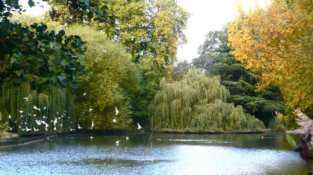 The 20 Best London Parks and Green Spaces 11 20-best-parks-london-battersea-park