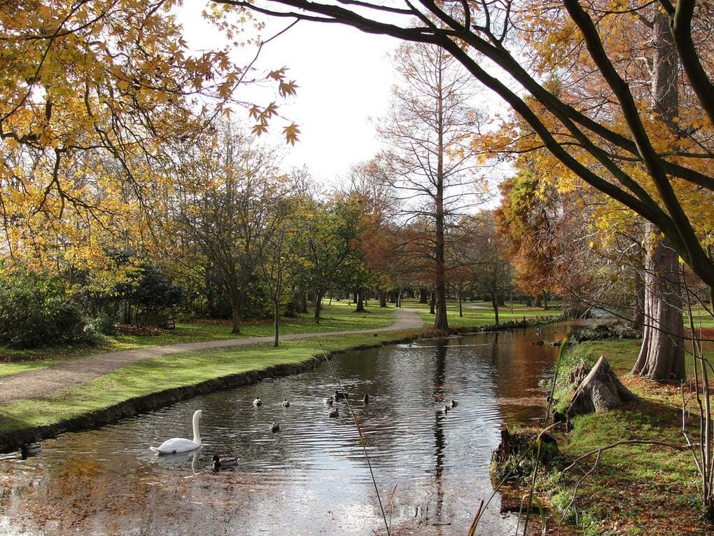 The 20 Best London Parks and Green Spaces 20 20-best-parks-london-bushy-park