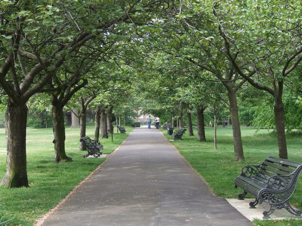 The 20 Best London Parks and Green Spaces 6 20-best-parks-london-greenwich-park