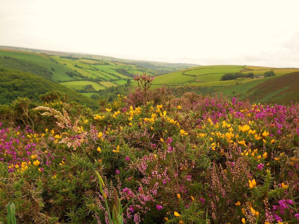 The 20 Best Walking Trails in England 13 20-best-walking-trails-exmoor