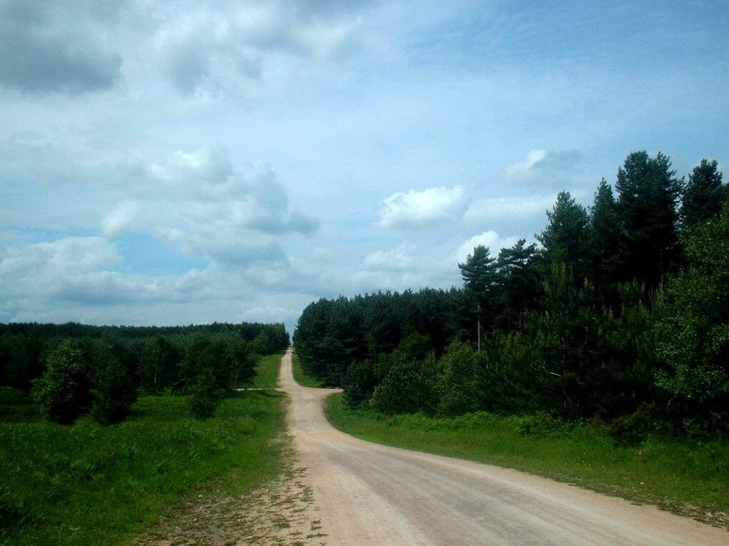 Sherwood Pines Forest Park photo