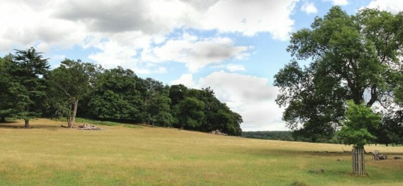 Top 10 Strange English Place Names | Great Snoring, Crapstone & More 4 Strange English Place Names: Spankers Hill Wood photo