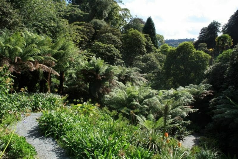 The 10 Must-See Places In Cornwall 6 Trebah photo