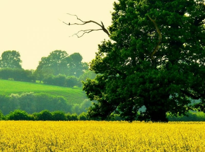 Top 10 Strange English Place Names | Great Snoring, Crapstone & More 2 Strange English Place Names: Herefordshire photo