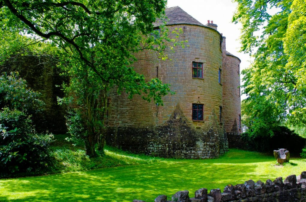 Forest of Dean in Gloucestershire photo
