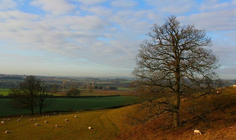 Visit Somerset, England: Cider, Bath, Glastonbury & More 5 Frome photo