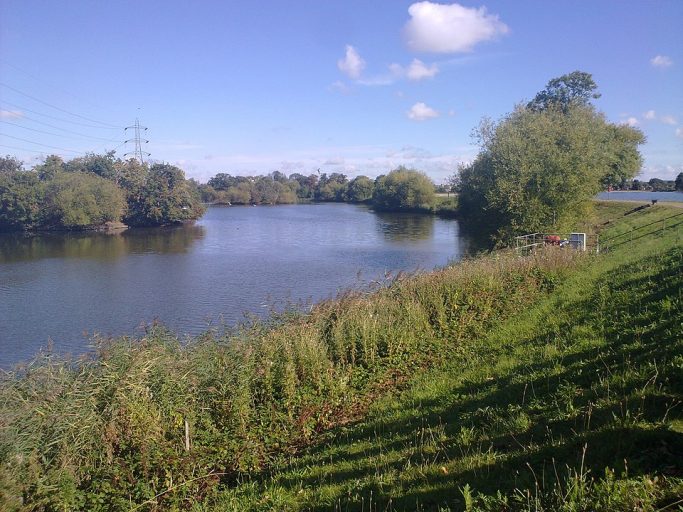 Best Birdwatching Places in England 9 Walthamstow Wetlands