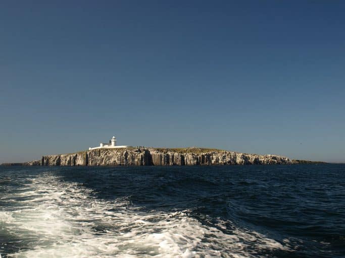 Best Birdwatching Places in England 4 Best Birdwatching Places in England 3