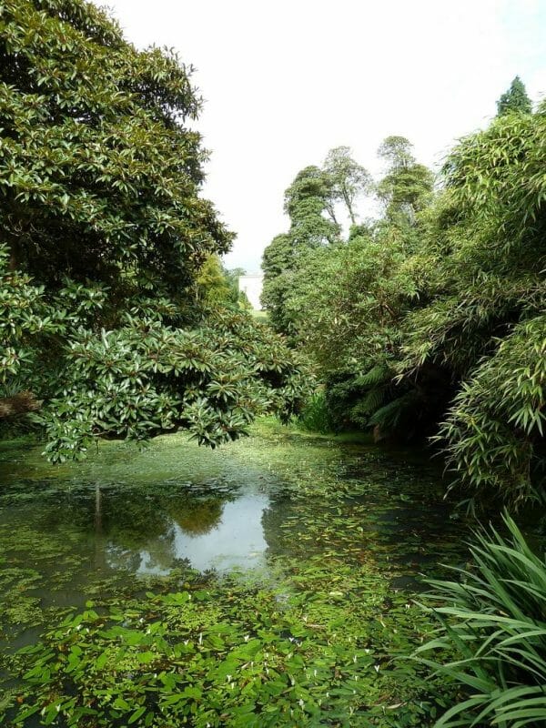 The 10 Must-See Places In Cornwall 3 The Lost Gardens of Heligan photo
