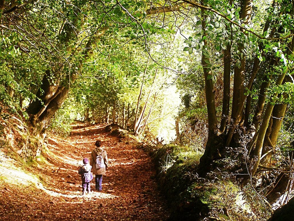 Visit Somerset, England: Cider, Bath, Glastonbury & More 15 quantock hills somerset