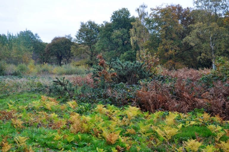 20 Essex Villages You Shouldn’t Miss 10 20 Essex Villages You Shouldn’t Miss 10
