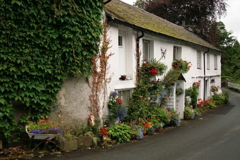 Lake District Villages: Wordsworth, Fells & Sticky Toffee Pudding 6 Lake District Villages: Wordsworth, Fells & Sticky Toffee Pudding 5