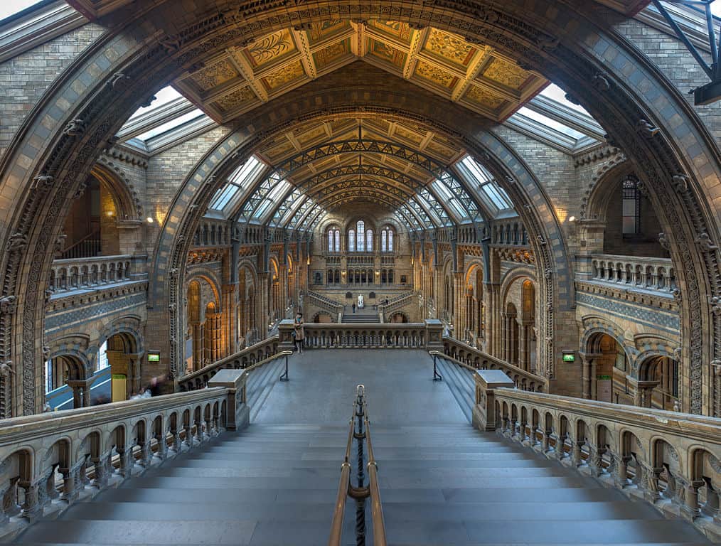 Top 10 Things To Do In London On A Budget 1 london on a budget: natural history museum