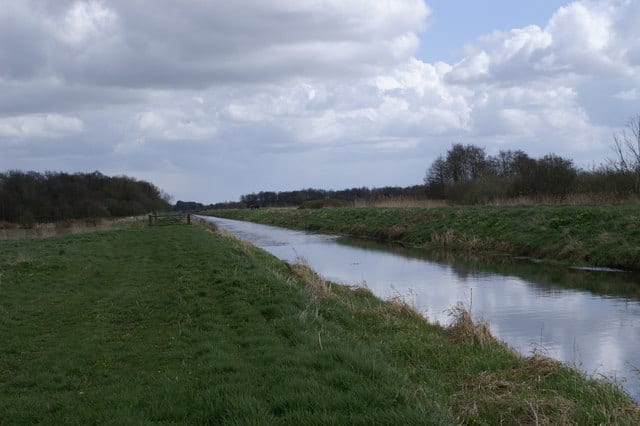 Best Birdwatching Places in England 7 Shapwick Heath National Nature Reserve, Glastonbury