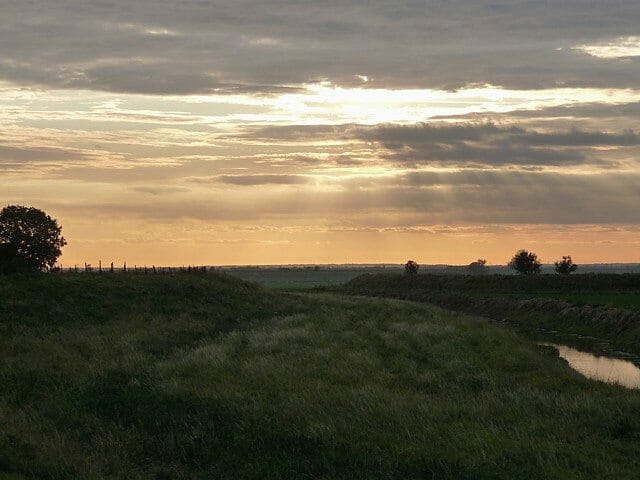 Region in Focus: East Anglia 4 Region in Focus: East Anglia 3