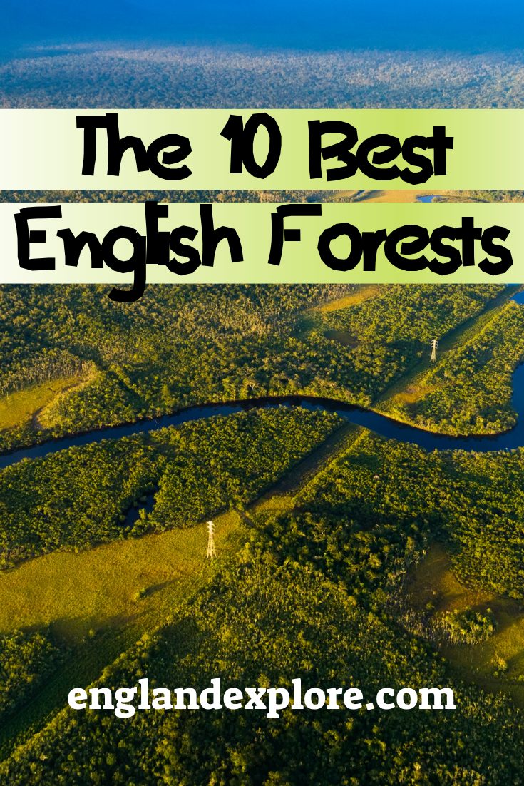 English Forests