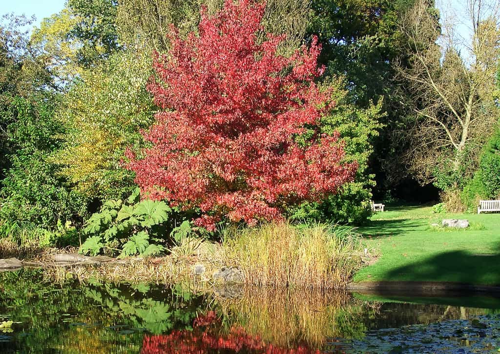 Cambridge Guide: Discover This Peaceful University Town 4 Cambridge Guide: Discover This Peaceful University Town 3