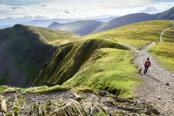 Things To Do In The Countryside During An English Summer