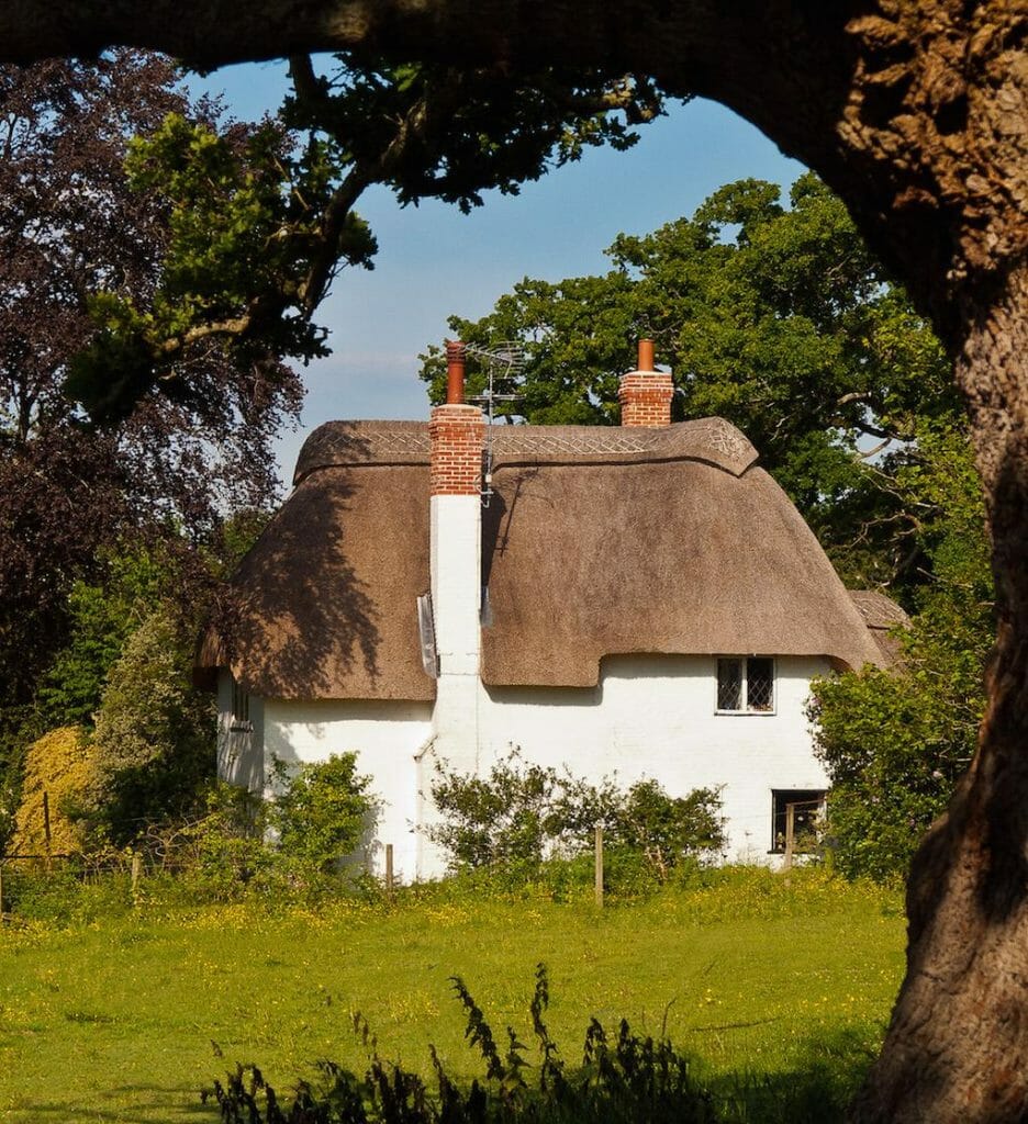 20 Gorgeous English Thatched Cottages 6 A pretty thatched cottage framed by an old Oak tree at Highwood in Hampshire